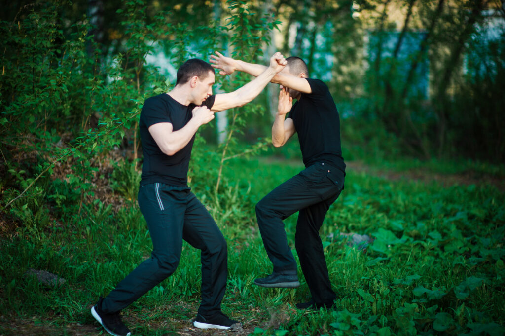 Difesa personale e Wing Chun